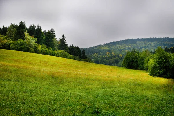 Kullarna i dimman. Morgon landskap. Höglandet med skog, åkrar och träd. — Stockfoto