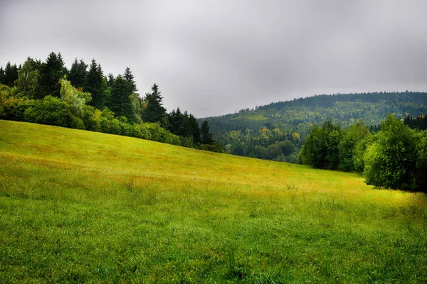 A hegyek a ködben. Reggel táj. Felvidék erdővel, mezőkkel és fákkal. — Stock Fotó
