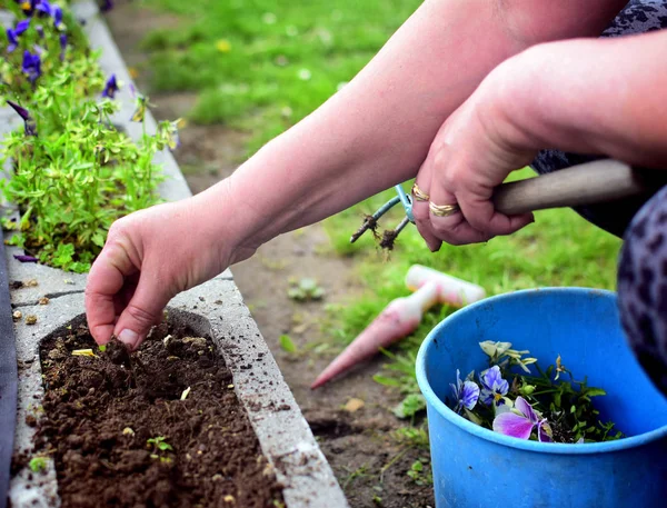 Femme méconnaissable arrachant des mauvaises herbes dans un jardin en utilisant ses mains . — Photo