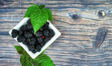 Böğürtlenin detayı. Yaz bahçesinden sulu ve taze biyo böğürtlen.