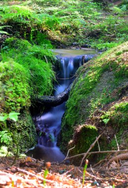Şelale ve nehir akışı sahip güzel bir sahne