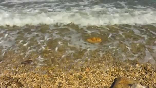 Vague Douce Océan Bleu Sur Plage Sable — Video