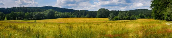 Landschaft in der Tschechischen Republik, Europa im Sommer. — Stockfoto