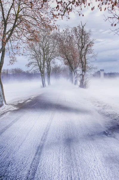 Tormenta de nieve en camino con árboles. condiciones de baja visibilidad debido a una tormenta de nieve en invierno — Foto de Stock