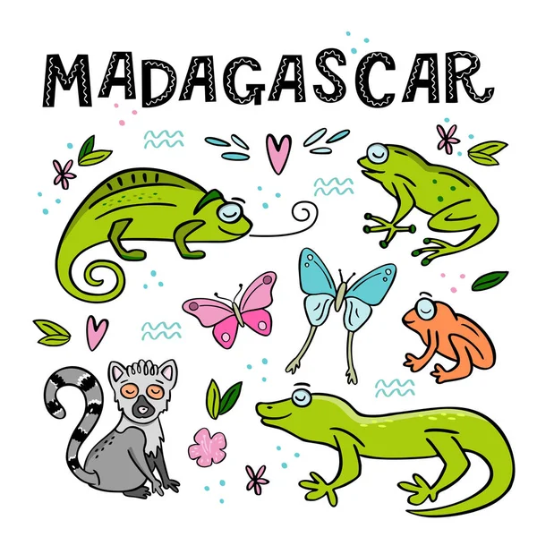 Conjunto de animais de Madagáscar. Ilustração vetorial desenhada à mão Gráficos Vetores