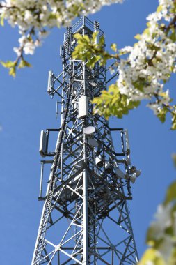 Telekomünikasyon Kulesi ve beyaz çiçekler açan ağaç 