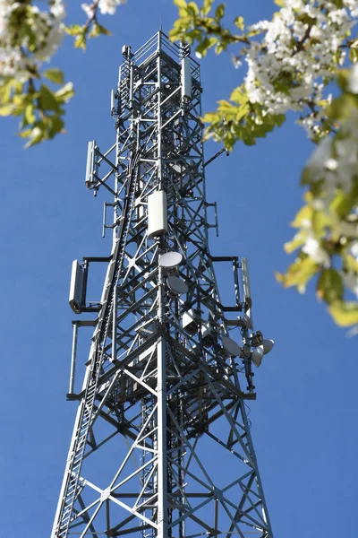 Телекомунікаційна Вежа Квітуче Дерево Білими Квітами — стокове фото