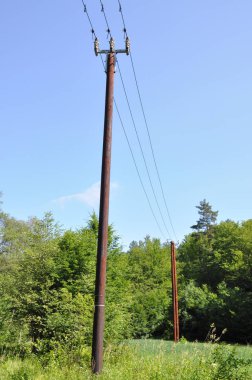 Çizgi ve ağaç arka planda ile ahşap elektrik direği