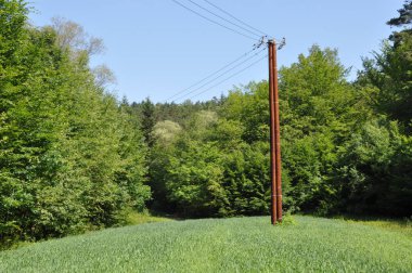 Çizgi ve ağaç arka planda ile ahşap elektrik direği