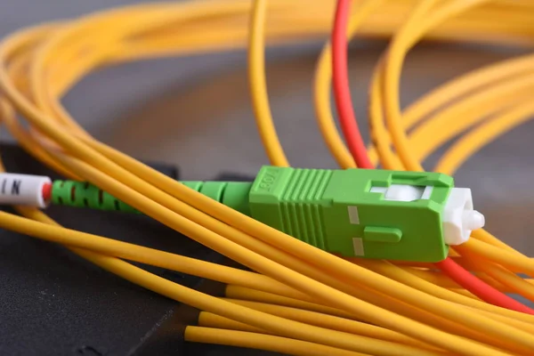 Fiber Optic Sökvägen Sladd Med Kontakten — Stockfoto