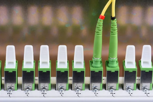 Centro Rede Tecnologia Com Equipamento Fibra Óptica Patch Cords Closeup — Fotografia de Stock
