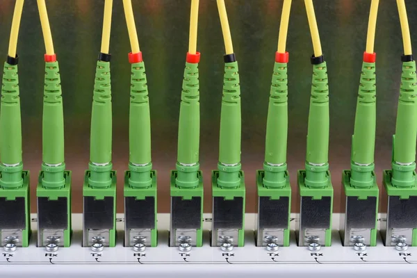 Centro Rede Tecnologia Com Equipamento Fibra Óptica Patch Cords Closeup — Fotografia de Stock
