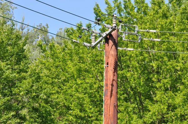 Houten Elektrische Paal Met Lijn Boom Achtergrond — Stockfoto