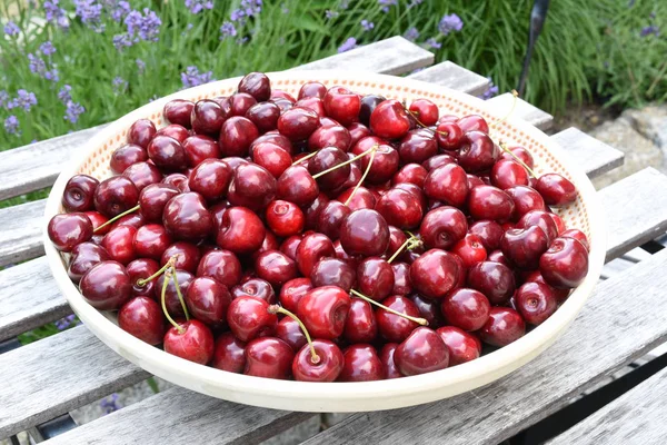 Sweet Cherry Skål Trädgården — Stockfoto