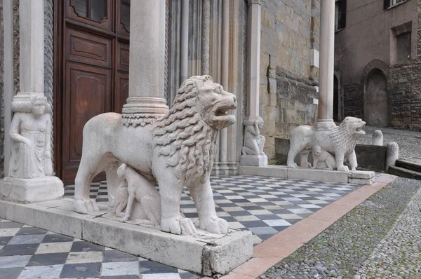 意大利威尼斯的罗马狮子雕塑大教堂 — 图库照片