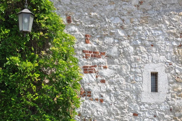 Efeu Kriecht Hoch Und Wächst Auf Steinmauer Haus — Stockfoto