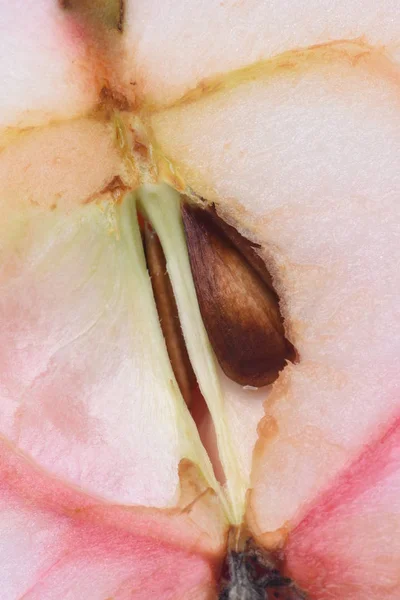 Apple Core Seed Close — Stock Photo, Image