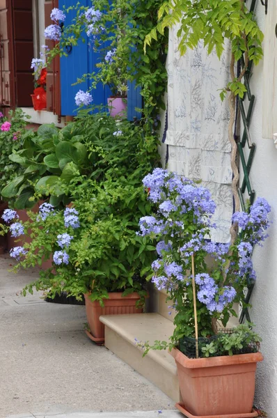 Цветочные Горшки Перед Домом Средиземноморской Деревне Стоковое Фото