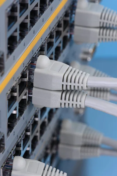Jaringan Pusat Data Switch Dan Kabel Ethernet — Stok Foto