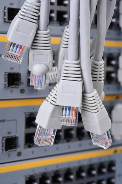 Network Patch Cord Cable Rj45 Connectors — Stock Photo, Image