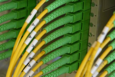 Bilgi teknoloji transferi pasif optik network tarafından