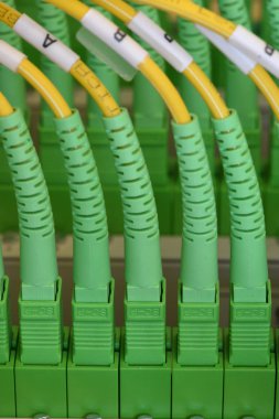 Bilgi teknoloji transferi pasif optik network tarafından