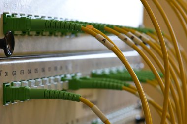 Bilgi teknoloji transferi pasif optik network tarafından