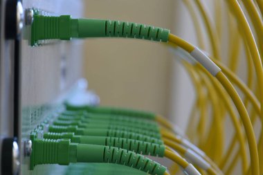 Bilgi teknoloji transferi pasif optik network tarafından