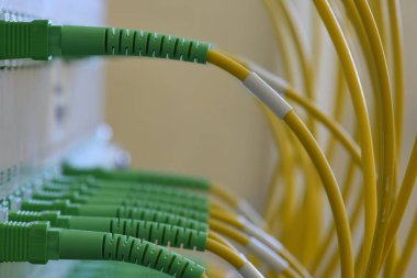 Bilgi teknoloji transferi pasif optik network tarafından