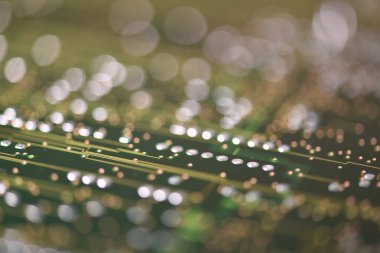 Elektronik devre kartı ile seçici odak closeup