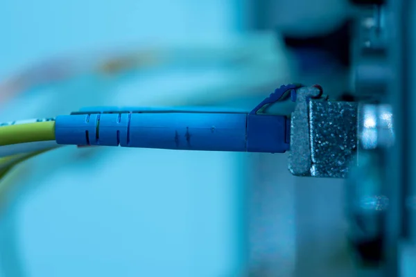 Fiber Optic Cables Connected Switch Data Center Close — Stock Photo, Image