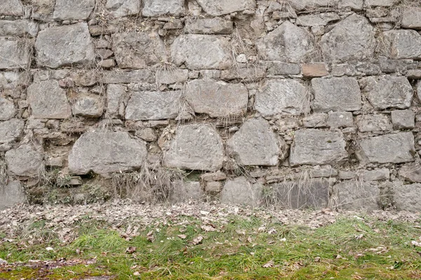 Stone Wall Dried Grass — Stock Photo, Image