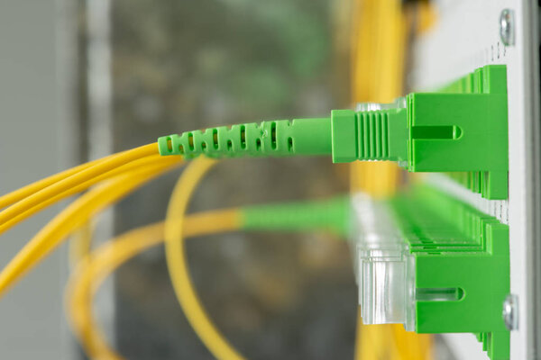 Fiber Optical Network Panel with Patch cords Close-up