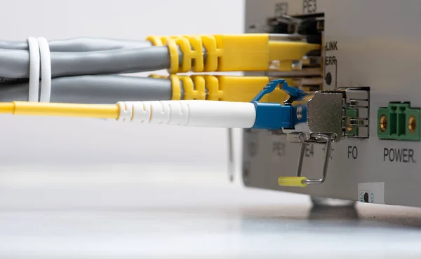 Cable Conexión Fibra Óptica Red Ethernet Cable Conexión Interruptor — Foto de Stock