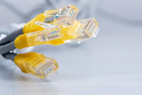 Network Utp Ethernet Netwerkkabels — Stockfoto