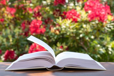 Yaz bahçesinde ahşap masa üzerinde açık kitap