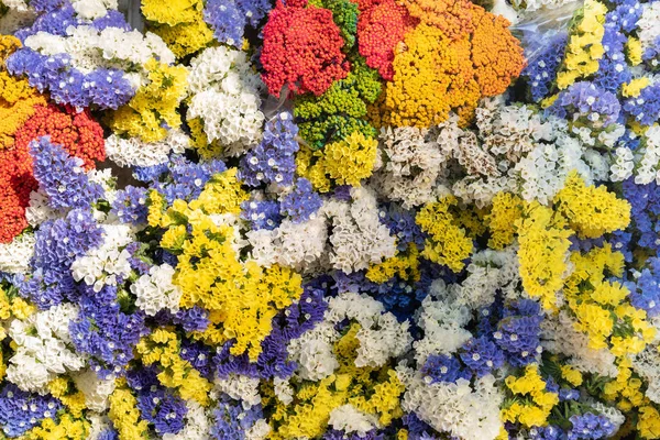 Zbliżenie Kolorowy Kwiat Targu Ulicznym Aix Provence Francja — Zdjęcie stockowe