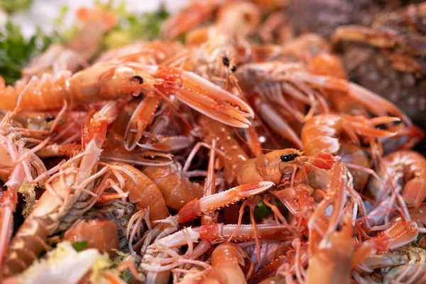 Gros Plan Sur Shrimps Street Market — Photo