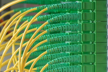 Yama kablosu kablolarıyla pasif optik ağ dağıtım paneli yakın çekim