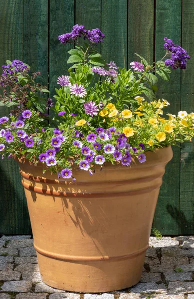 Blühende Blumen Ton Blumentopf Mit Holzzaun Grünen Hintergrund — Stockfoto