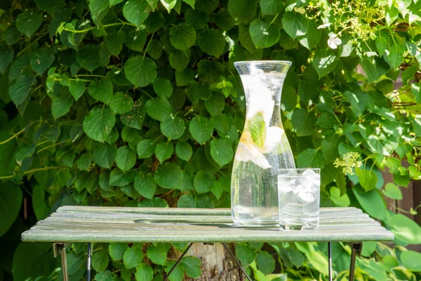 Copo Água Jardim Verão Livre — Fotografia de Stock