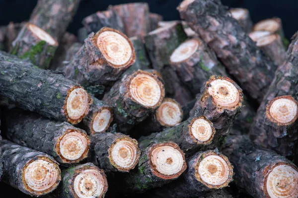 Stack Pine Firewood Logs — Stock Photo, Image