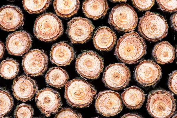Stack Pine Log Firewood Background — Stock Photo, Image