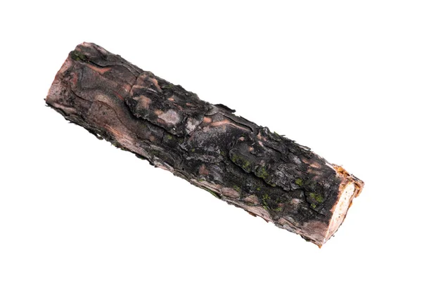 Pine Log Isolated White Background — Stock Photo, Image