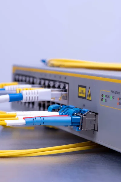 Ethernet Optik Kablolarla Donanımı Anahtarı — Stok fotoğraf