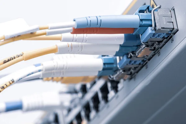 Ethernet Bulanık Arkaplan Ile Optik Kablolar Ile Anahtarı — Stok fotoğraf