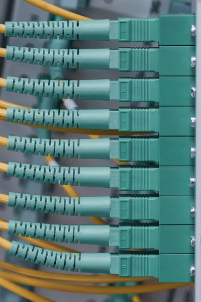 Fiber Optical Network Cables Distribution Patch Panel — Stock Photo, Image