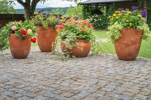 Blomkruka Terrass Grön Trädgård — Stockfoto