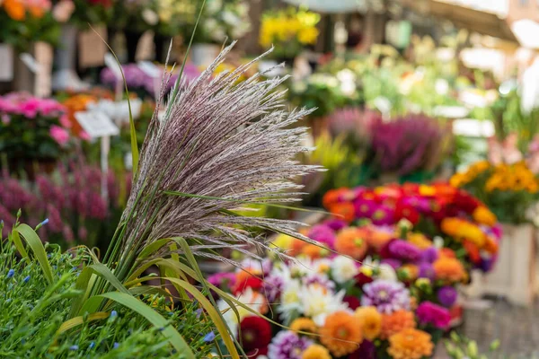 Bouquets Variopinti Dei Fiori Sul Mercato Della — Foto Stock