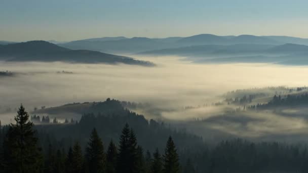 Time lapse footage of the morning Carpathian fog — Stock Video